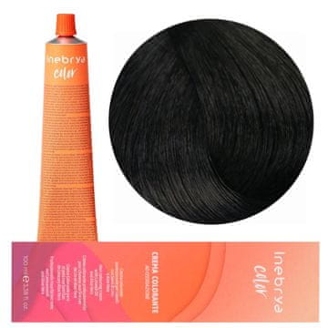 Inebrya Barva Color 3 100 ml