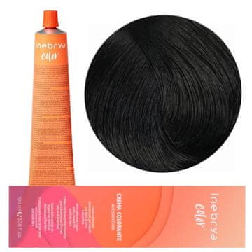 Inebrya Barva Color 1/0 100 ml