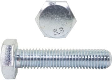 Eneron Šesterokotni vijaki M5x55 8.8 pocinkani DIN 933 10 kosov.