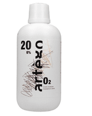 Artego Developer Oxydant 20 vol.-6 % 1000 ml