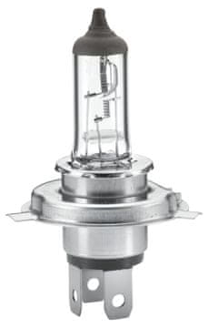 HEL 8GJ 002 525-251 ŽARNICA HELLA BEHR