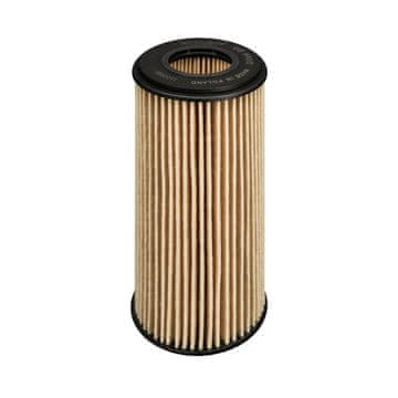 Filtron OLJNI FILTER AUDI A4 B5 94> 2.0 TFSI