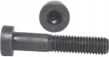 Eneron Vijaki z nizko glavo inbus M8x40 DIN 6912 200 kosov.