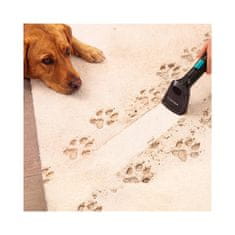Cecotec Sesalnik za oblazinjeno pohištvo Conga 6000 Carpet&Spot Clean XL Pro
