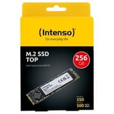Intenso M.2 256 GB Intenso