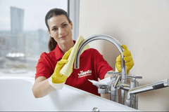 VILEDA PROFESSIONAL PURmicro Active krpa iz mikrovlaken, 5 kos, zelena