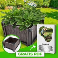 Cool Mango visoka greda za gojenje zelenjave, 2 kosa (1 + 1 GRATIS), PP, 40 × 40 × 22 cm