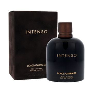 Dolce & Gabbana Pour Homme Intenso parfumska voda za moške