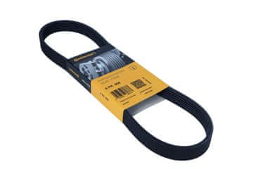 Contitech 6PK800 VEČREBNI JERMEN