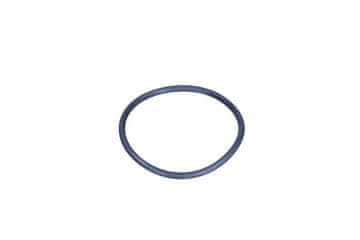 EBI TESNILO TERMOSTATA VW PASSAT 2.5TDI 03-