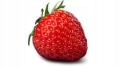 Agrisicilia Jagodna marmelada , dodatna marmelada iz sicilijanskih jagod, 340 g