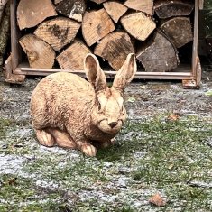Čudovit kipec zajčka - popolna vrtna dekoracija