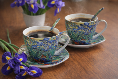 Porcelanaste skodelice s krožniki, 2 kosa. Van Goghove perunike, 250 ml, kot darilo