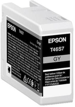 Epson Črnilo T46S7 25 ml sivo (8715946680880)