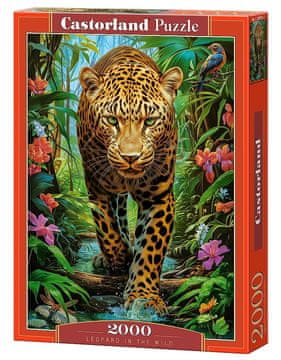 Castor 2000-delna sestavljanka Leopard na prostosti