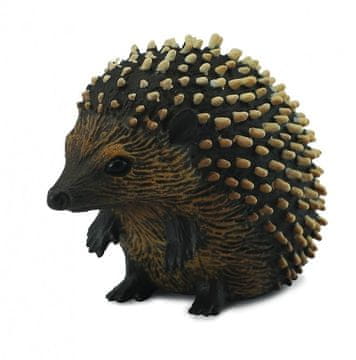 COLLECTA Zbirka. Ježek