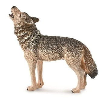 COLLECTA Zbirka. Tuleči gozdni volk