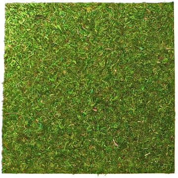 PTI OZADJE IZ NARAVNEGA ŽIVEGA MAHU ZA TERARIJ 45X45CM 2 KOS