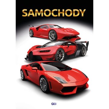 Fenix MOTORIZEM KNJIGA ŠPORTNI AVTOMOBILI AVTOMOBILI PORSCHE LAMBORGHINI