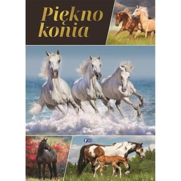 Fenix LEPOTA KONJSKEGA ALBUMA IN ZANIMIVOSTI O KONJIH KNJIGA ZA OTROKE KOT DARILO
