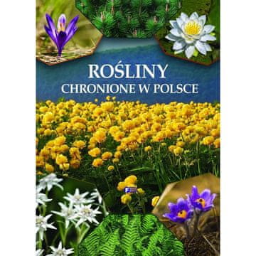 Fenix ZAŠČITENE RASTLINE NA POLJSKEM ALBUM RASTLINSKI ATLAS KNJIGA TRDA VEZAVA 32 STRANI