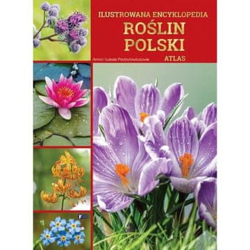 Fenix ILUSTRIRANA ENCIKLOPEDIJA RASTLIN POLJSKI ATLAS ALBUM TRDA VEZAVA 288 STRANI