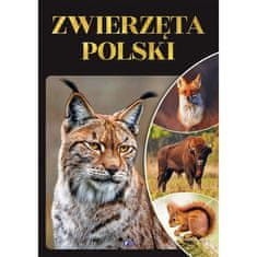 Fenix POLJSKE ŽIVALI VELIKI ALBUM ATLAS FAVNA DARILNA KNJIGA TRDA VEZAVA