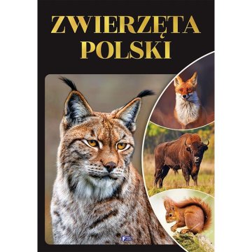 Fenix POLJSKE ŽIVALI VELIKI ALBUM ATLAS FAVNA DARILNA KNJIGA TRDA VEZAVA