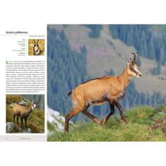 Fenix POLJSKE ŽIVALI VELIKI ALBUM ATLAS FAVNA DARILNA KNJIGA TRDA VEZAVA