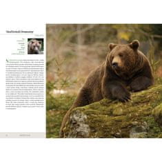 Fenix POLJSKE ŽIVALI VELIKI ALBUM ATLAS FAVNA DARILNA KNJIGA TRDA VEZAVA