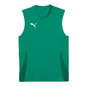 Puma Majice s kratkimi rokavi TeamGOAL 70591305