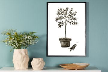 Venture Design Poster Olive 50x70 cm Zelena