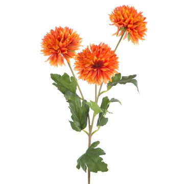 CVET NARAVNI 431 63 CM ORANŽNI