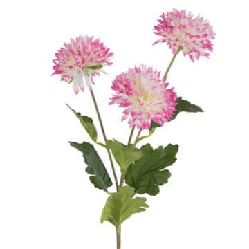 CVET NARAVNI 431 63 CM MAGENTA