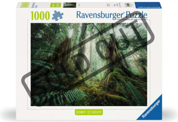 Ravensburger Puzzle V gozdu 1000 kosov