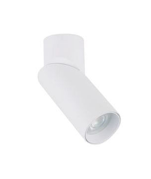 Stropna LED svetilka Nowodvorski INDIA 7858 jeklo, bela