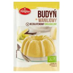 Amylon VANILIJEV PUDING BREZ GLUTENA BIO 40 g -
