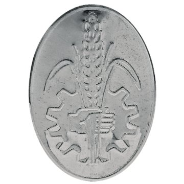 Dexta Fordov emblem 15405055 GRANIT
