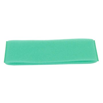 Briggs & Stratton 272477S Predfilter 272477