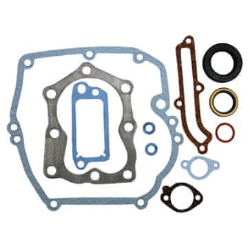 Komplet tesnil motorja BRIGGS-STRATTON 496117 493263