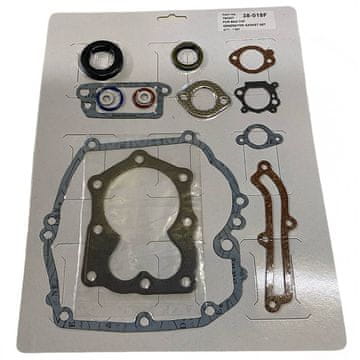 Komplet tesnil motorja BRIGGS-STRATTON 590508 794307 497316