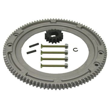 Vztrajni obroč za motor kosilnice Briggs Stratton 696537 399676
