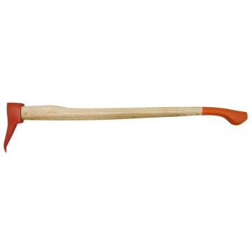Capina gladka, jesen 32270231