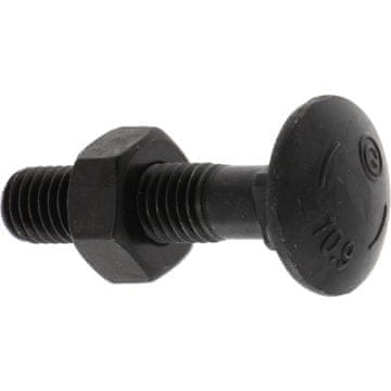 Plužni vijak z matico M10x1,5x45 mm 10,9