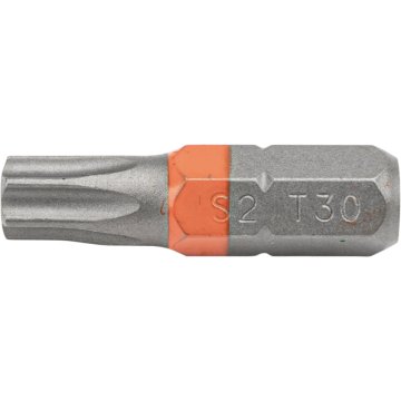 Granit TORX T30 nastavki 1/4 palca 25 mm S2 10 kosov.