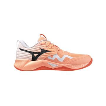 Mizuno Čevlji Mizuno Wave Momentum Pro V1GA254080