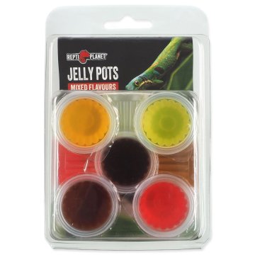 REPTI PLANET Jelly Pots Mešani 8 kosov