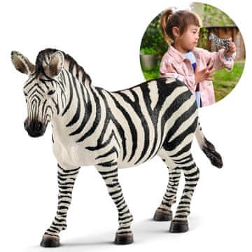 Schleich Schleich Wild Life - Samica zebre, figurica za otroke 3+