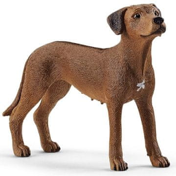 Schleich Schleich Farm World - Kuža pasme Rodizijski grebenar, figura za otroke od 3. leta naprej