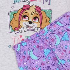 Paw Patrol 98